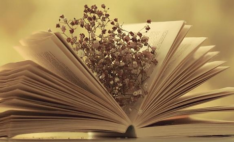 Ngữ văn – Literature