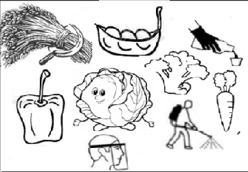 Bảo vệ thực vật