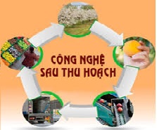 Công nghệ sau thu hoạch