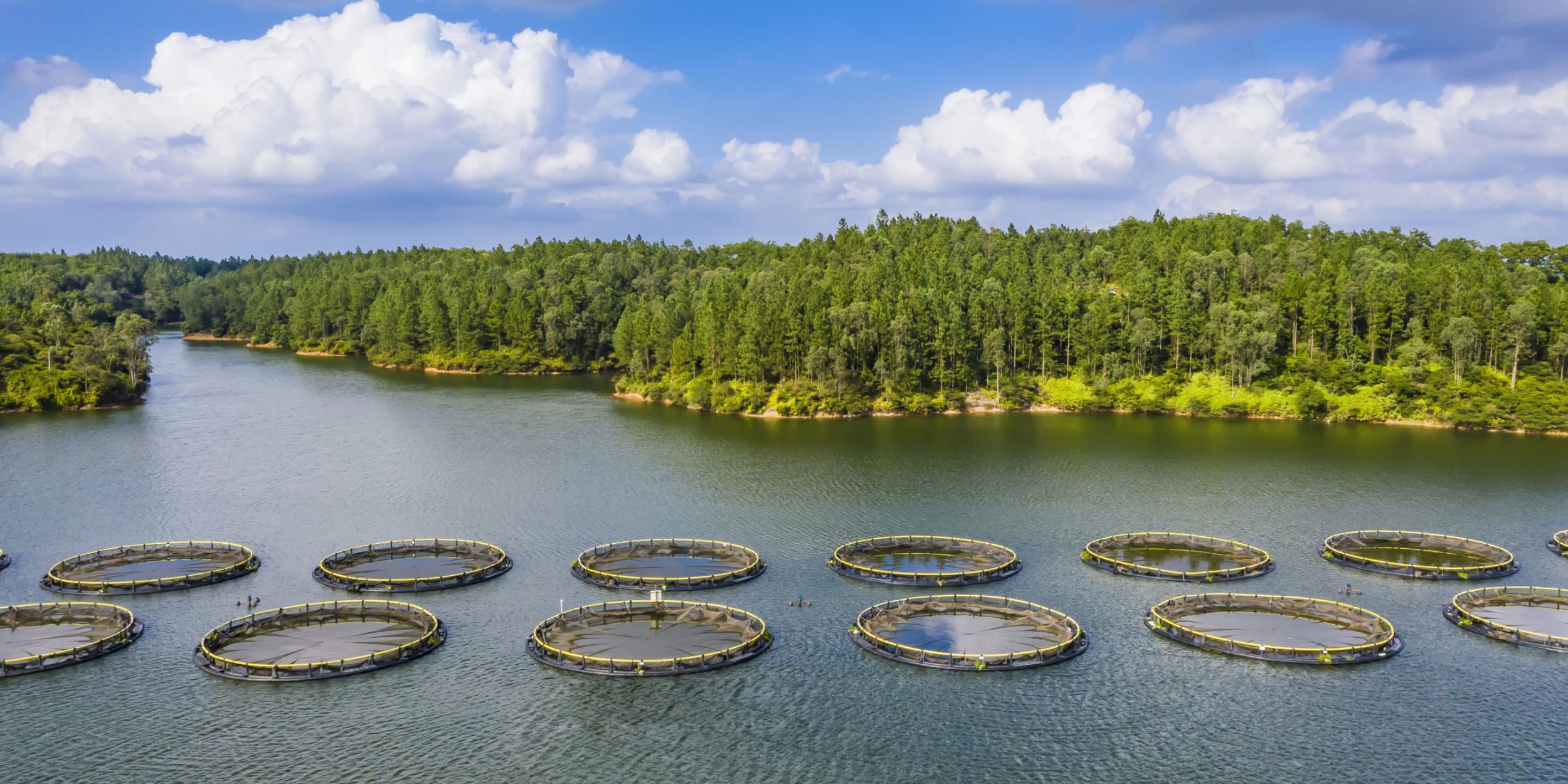 Quản lý thủy sản – Biến đổi khí hậu và Quản lý tổng hợp thủy sản ven biển