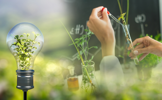 Kỹ thuật môi trường – Environmental engineering