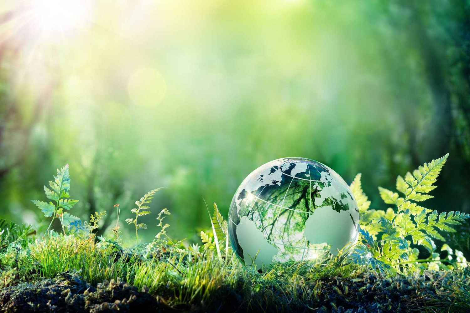 Sinh thái học – Ecology