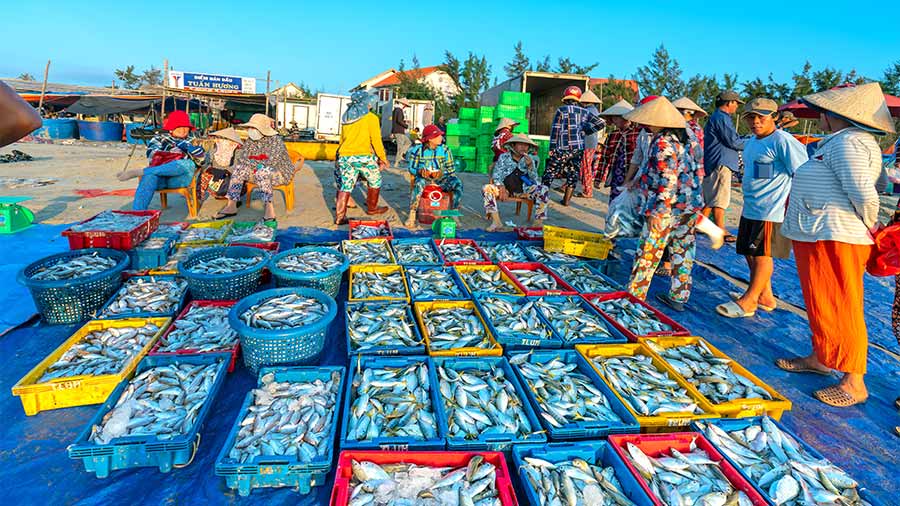 Quản lý thủy sản