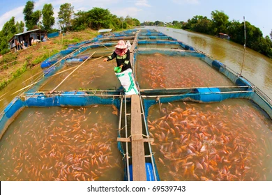 Nuôi trồng thủy sản